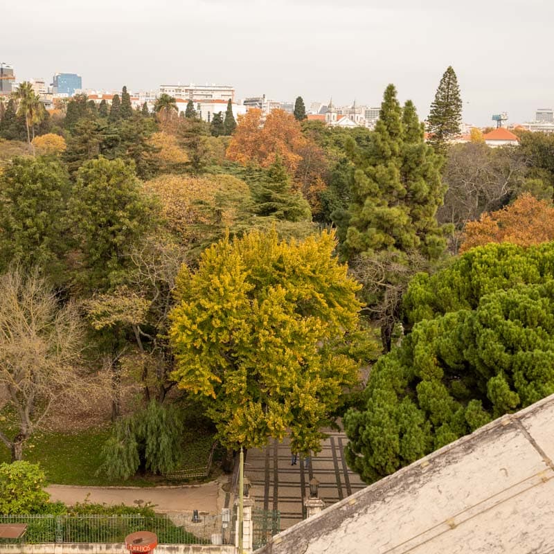 Jardim da Estrela
