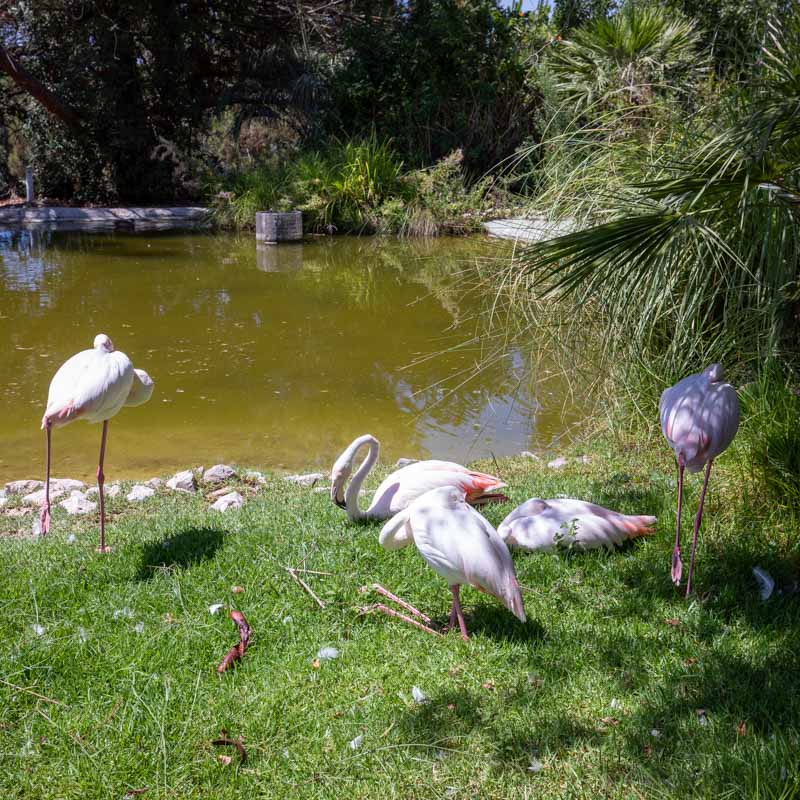 Badoca Safari Park 2