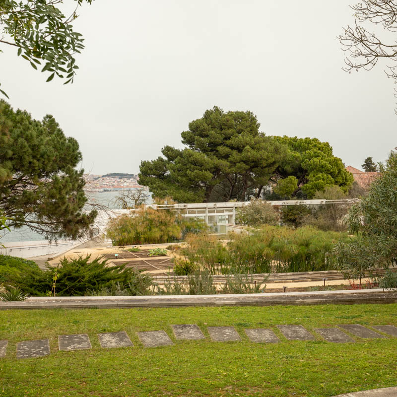 Casa da Cerca 3