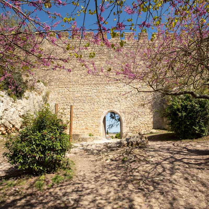 Castelo de Óbidos 5