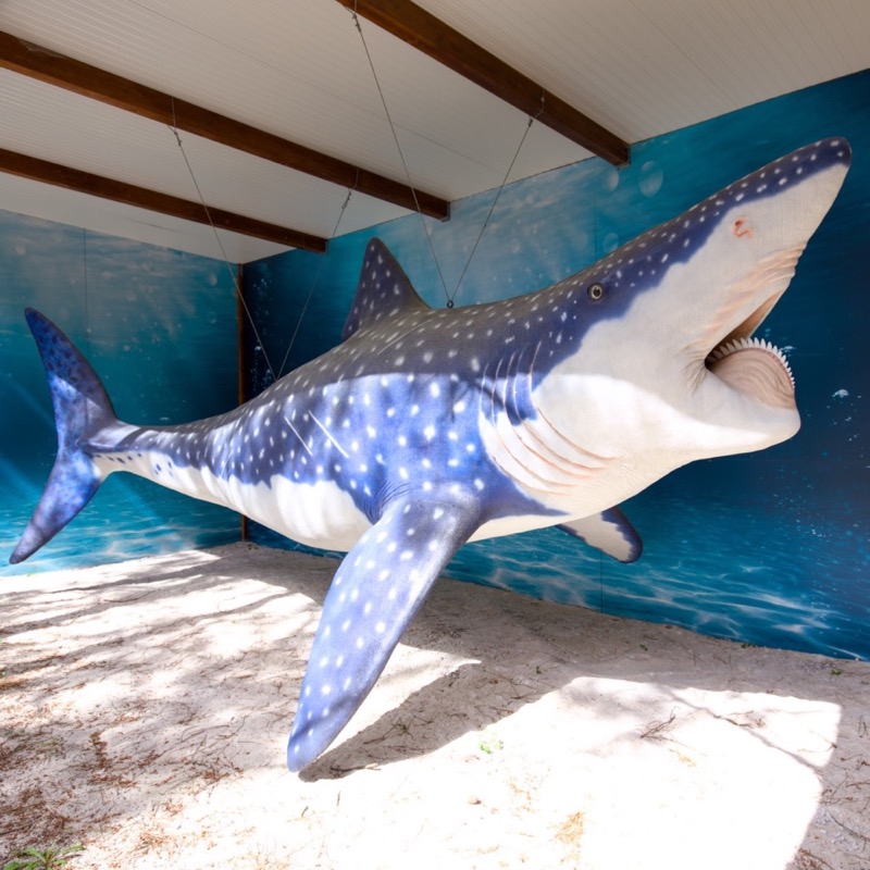 Dino Parque da Lourinhã 2