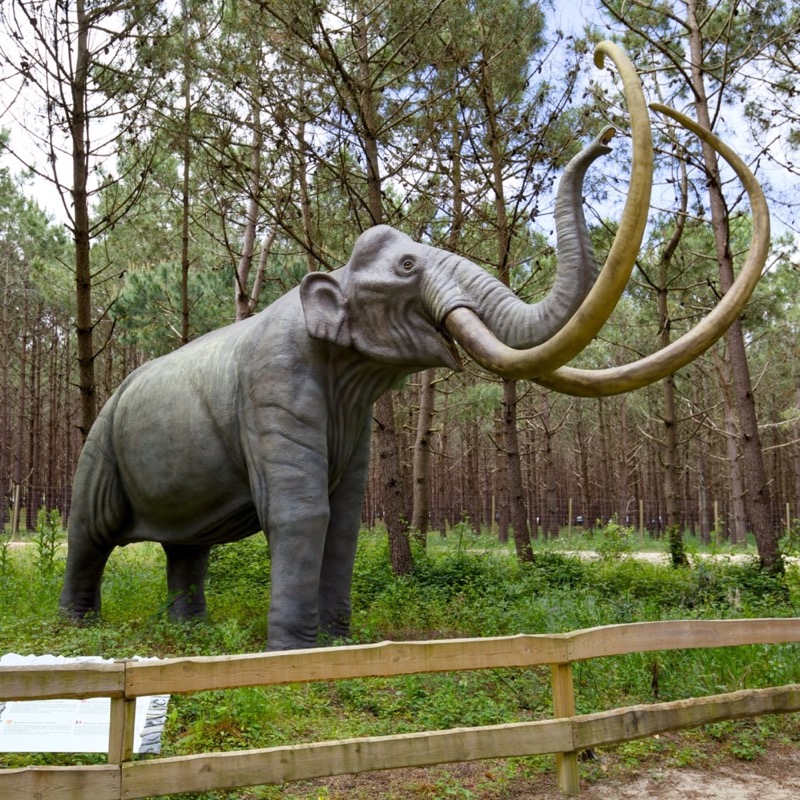 Dino Parque da Lourinhã 5