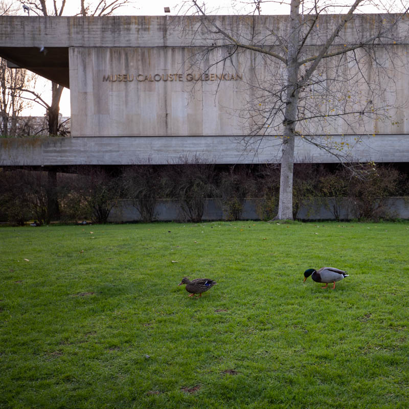 Fundação Calouste Gulbenkian 4