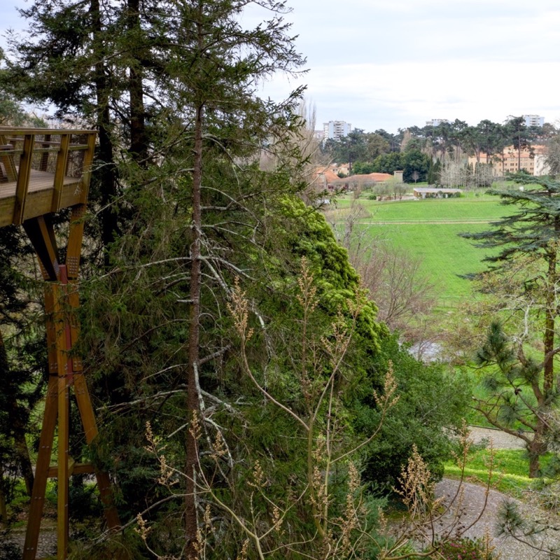Fundação Serralves 2