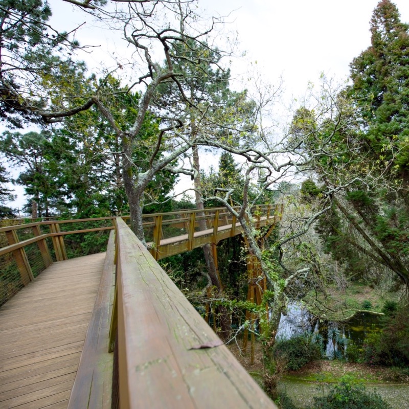 Fundação Serralves 3