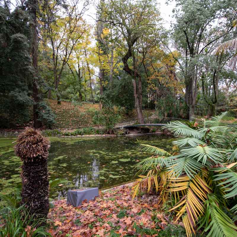 Jardim Botânico de Lisboa