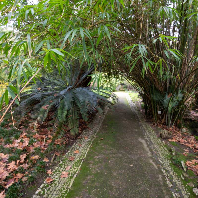 Jardim Botânico de Lisboa 2