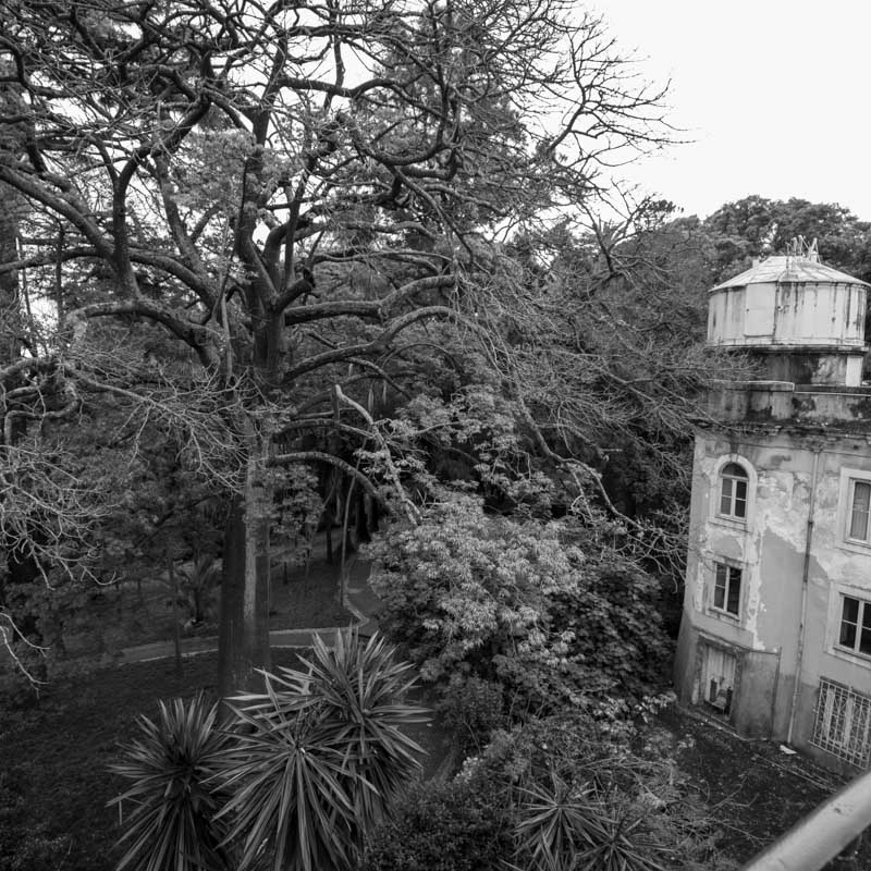 Jardim Botânico de Lisboa 3
