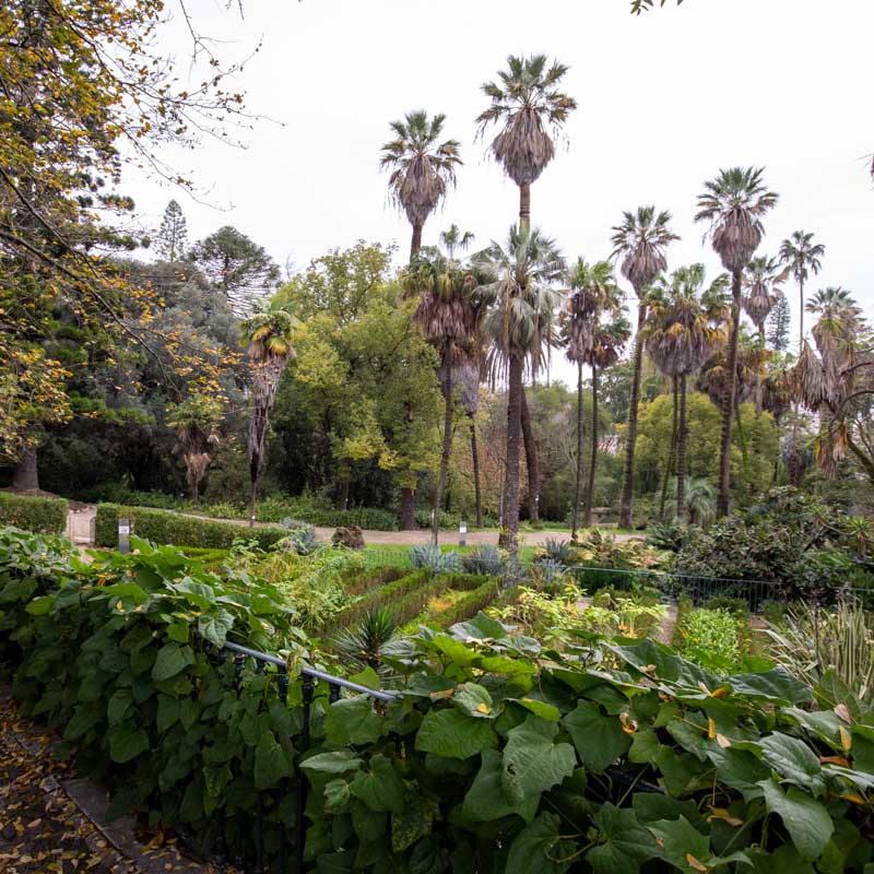 Jardim Botânico de Lisboa 4