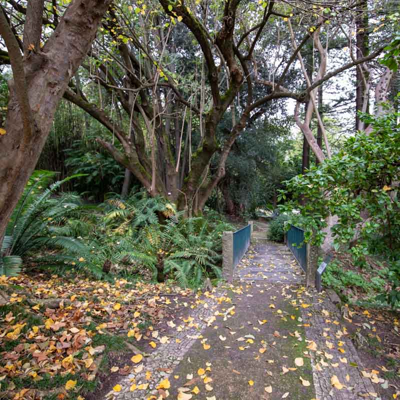 Jardim Botânico de Lisboa 5