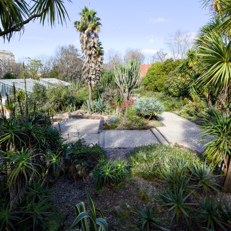 Jardim Botânico do Porto 3