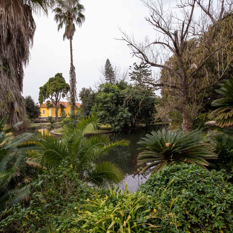 Jardim Botânico Tropical 4
