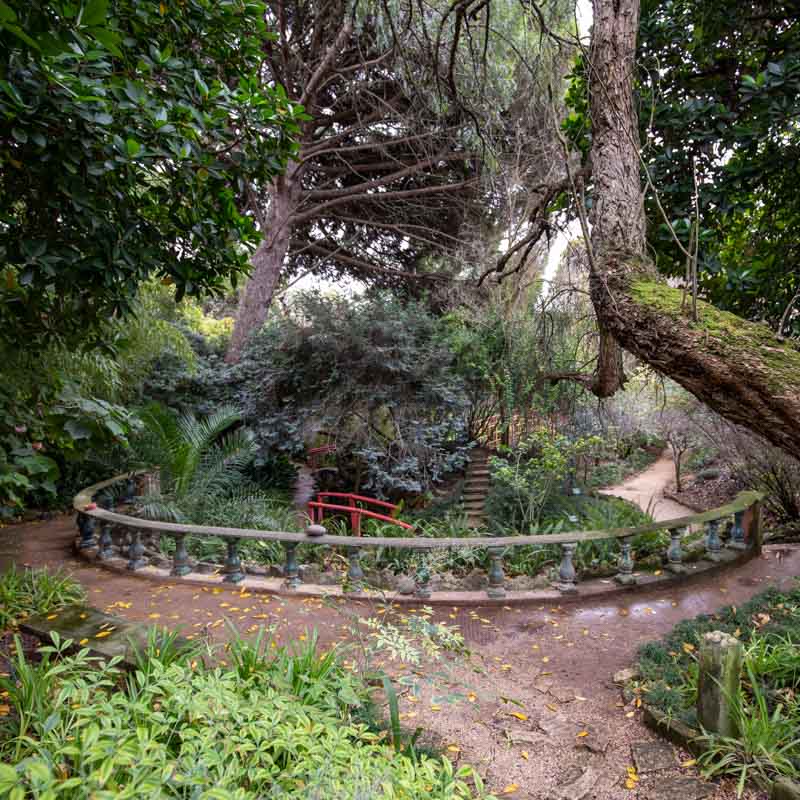 Jardim Botânico Tropical 5