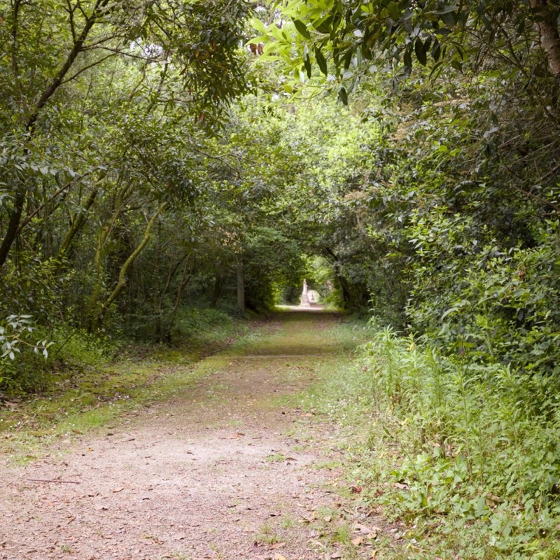 Jardim do Cerco 5