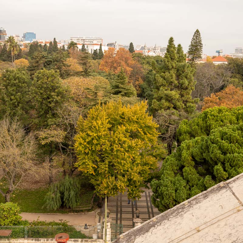 Jardim da Estrela