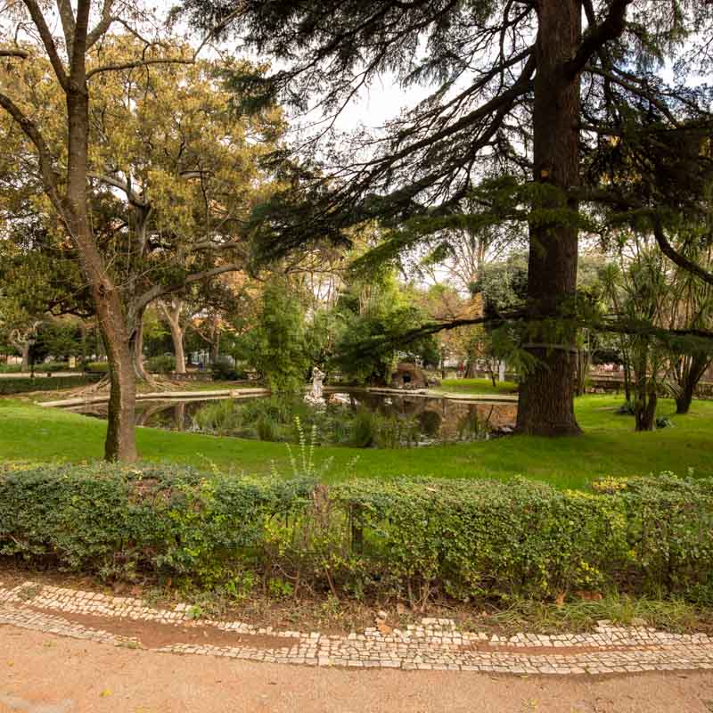 Jardim da Estrela 2