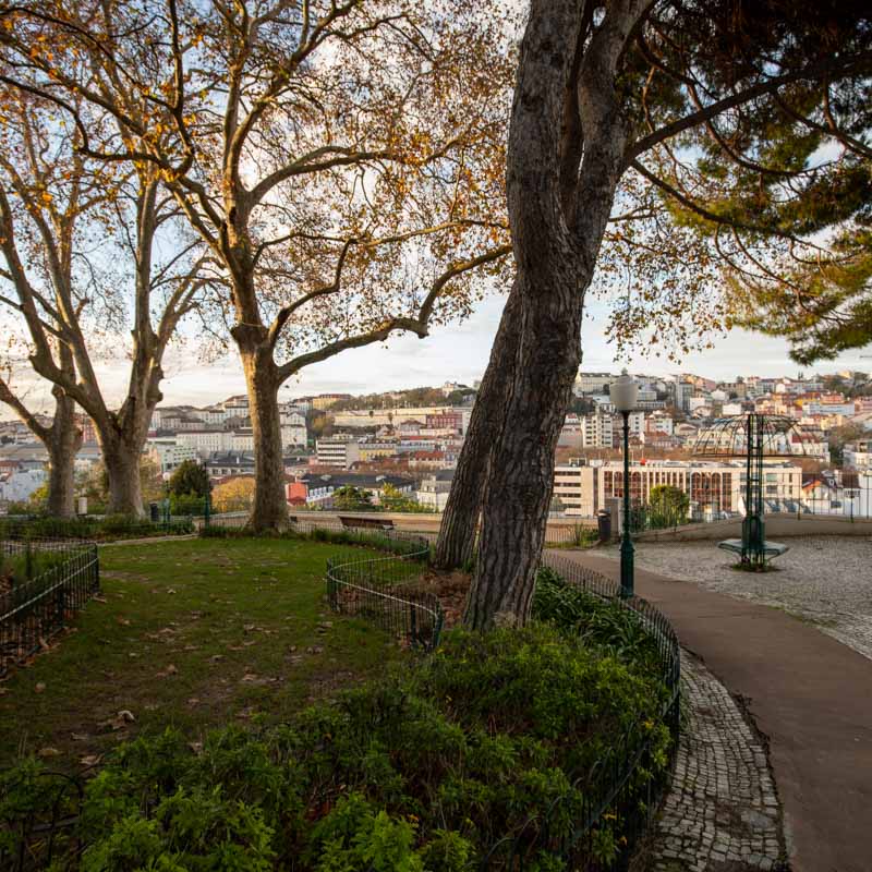 Jardim do Torel 2