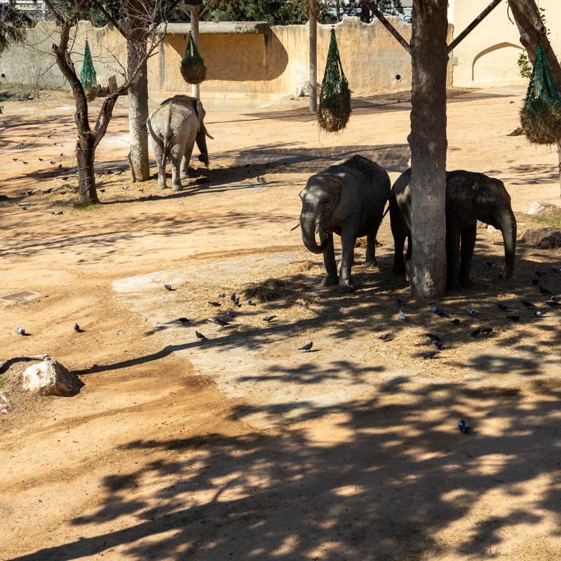 Jardim Zoologico 3