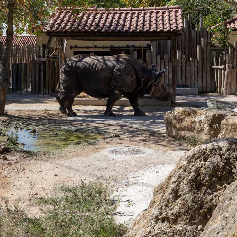 Jardim Zoologico 5