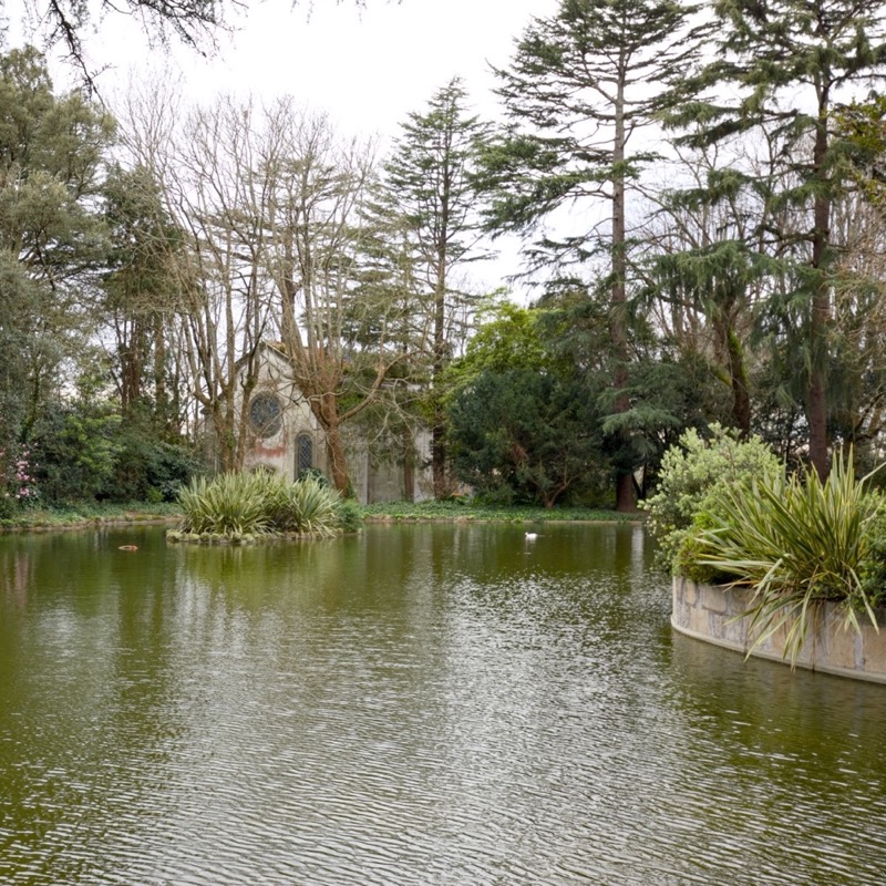 Jardins do Palácio de Cristal 3