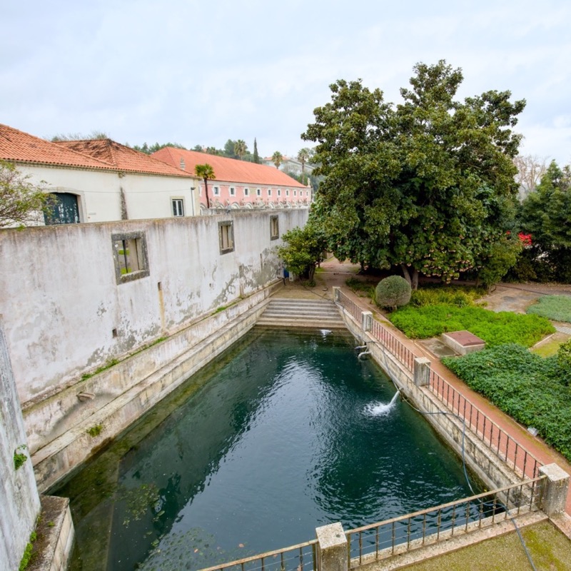 Jardins do Palácio Marquês de Pombal 4