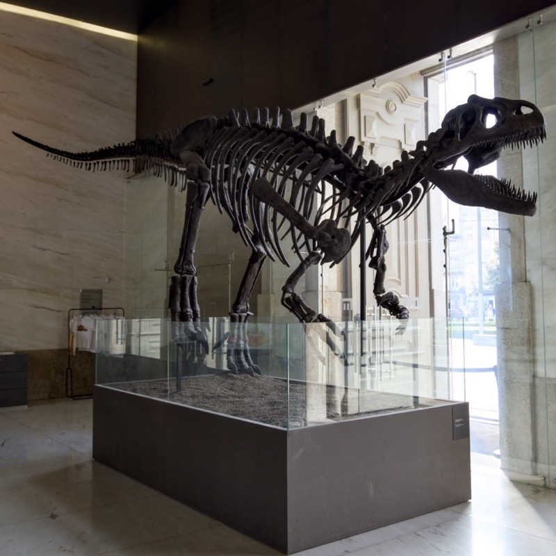 Museu de História Natural e da Ciência da Universidade do Porto 2