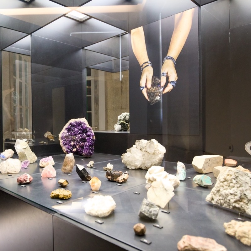 Museu de História Natural e da Ciência da Universidade do Porto 5