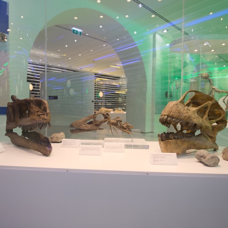 Museu de História Natural de Sintra 2