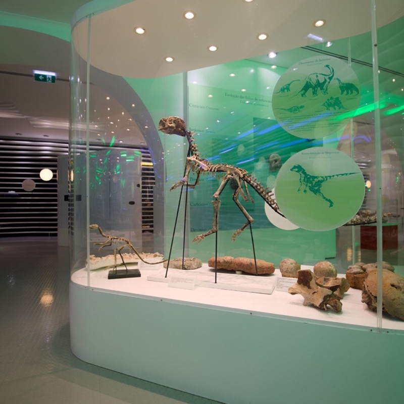 Museu de História Natural de Sintra 3