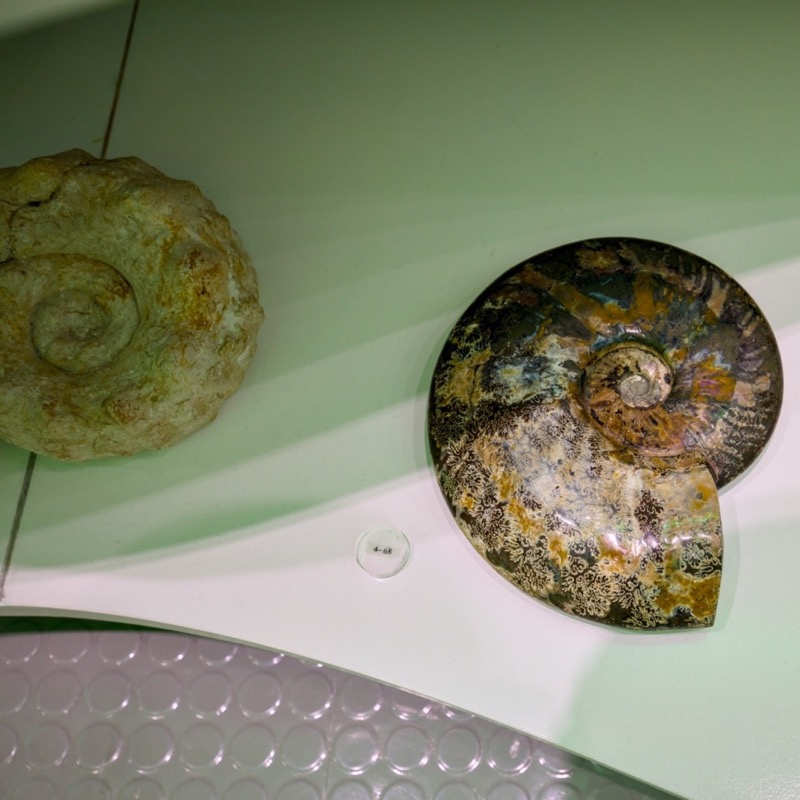 Museu de História Natural de Sintra 4