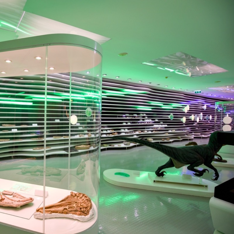 Museu de História Natural de Sintra 5