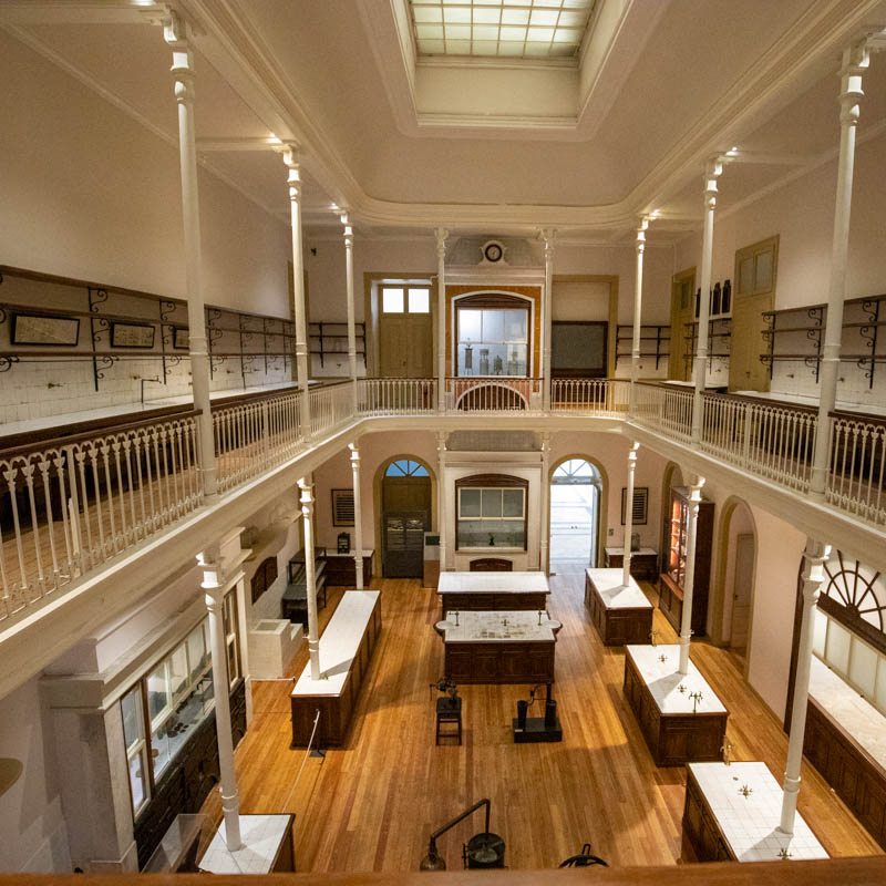 Museu Nacional de História Natural e da Ciência 2
