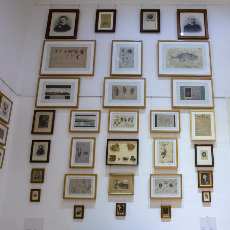 Museu Nacional de História Natural e da Ciência 3