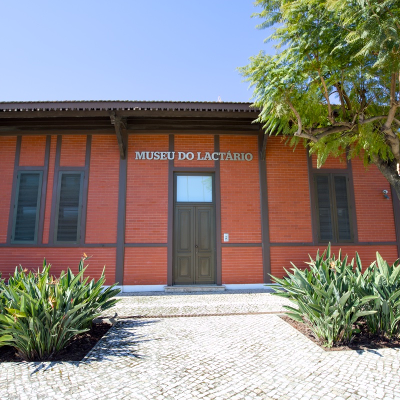 Museu do Lactário