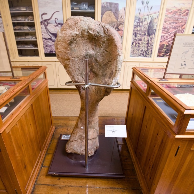 Museu Geológico 2
