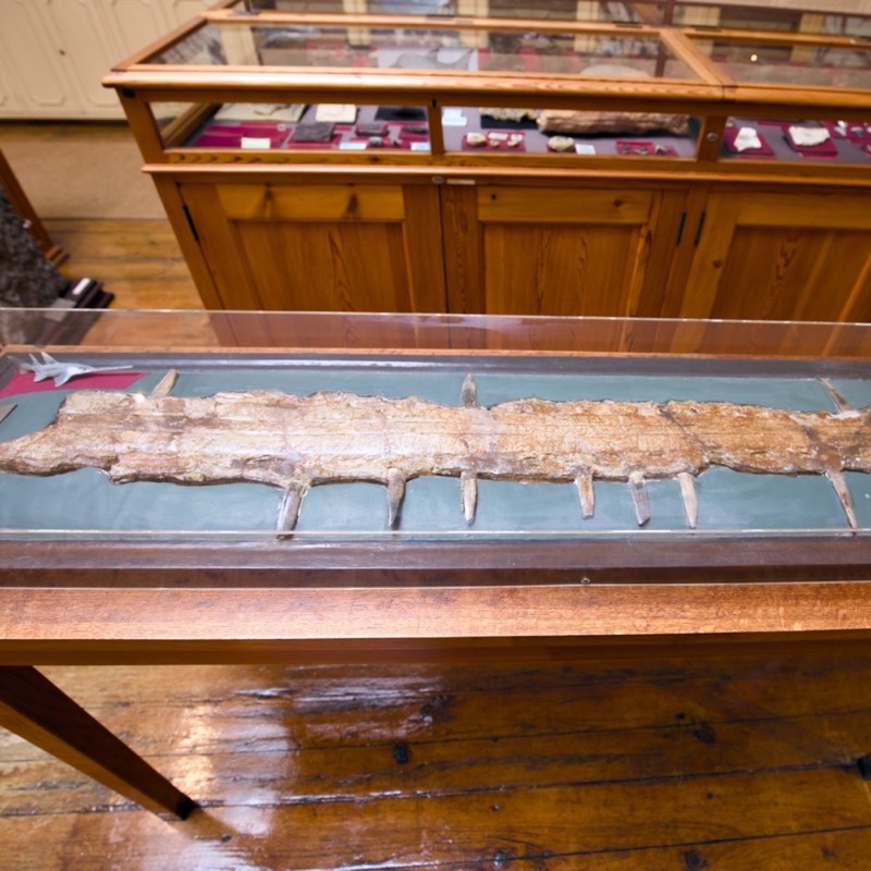 Museu Geológico 3