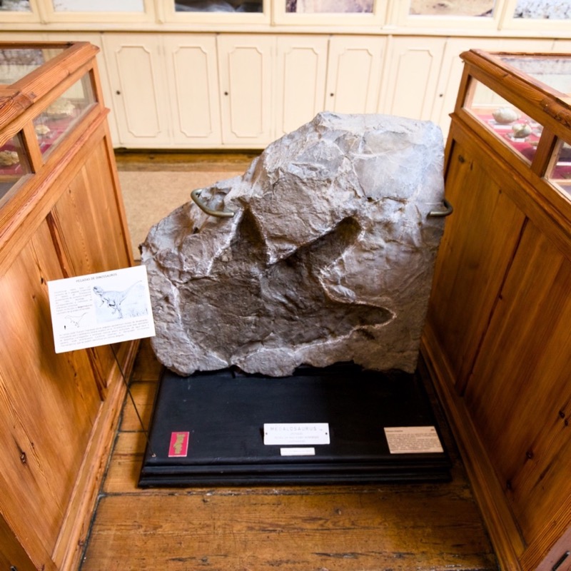 Museu Geológico 4