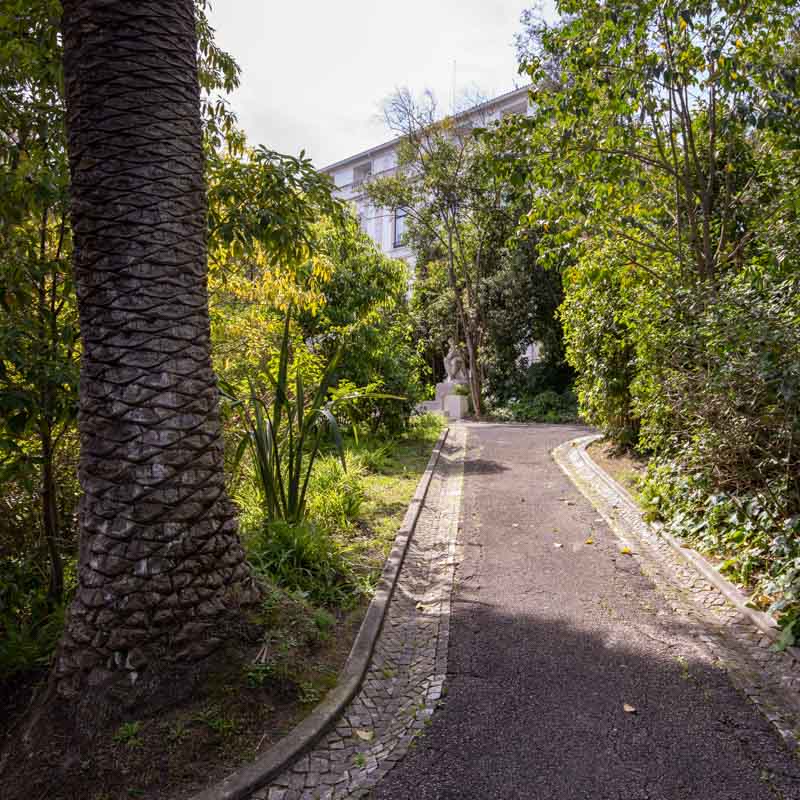 Jardim do Palácio de São Bento 2