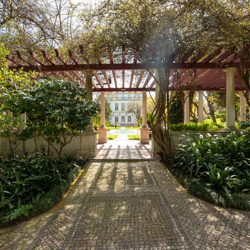 Jardim do Palácio de São Bento 4