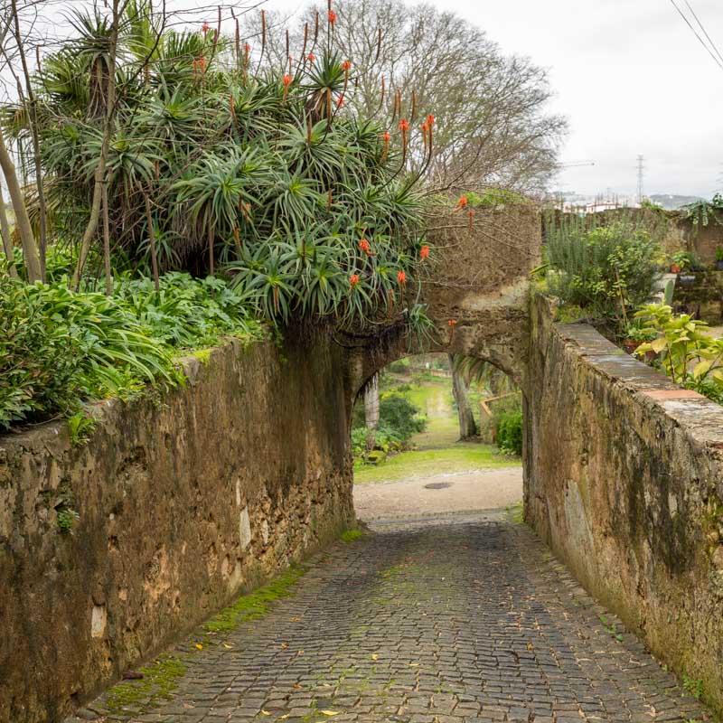 Parque da Quinta do Monteiro-Mor 3