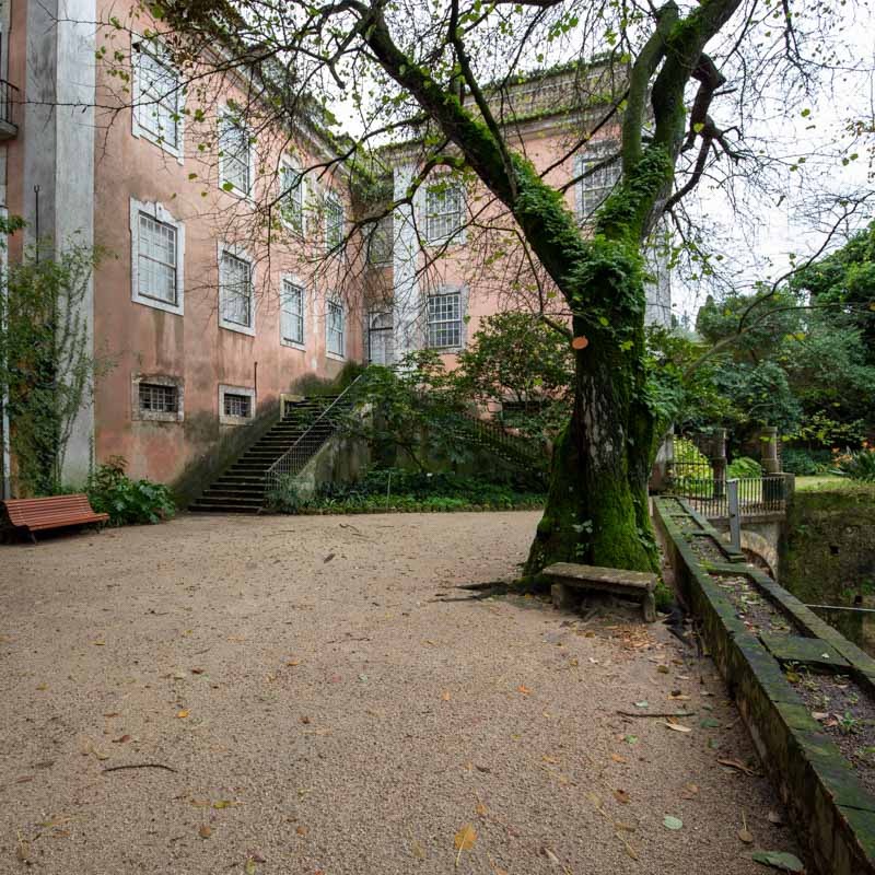 Parque da Quinta do Monteiro-Mor 5
