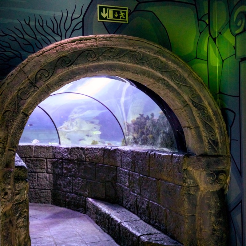 Sea Life 3