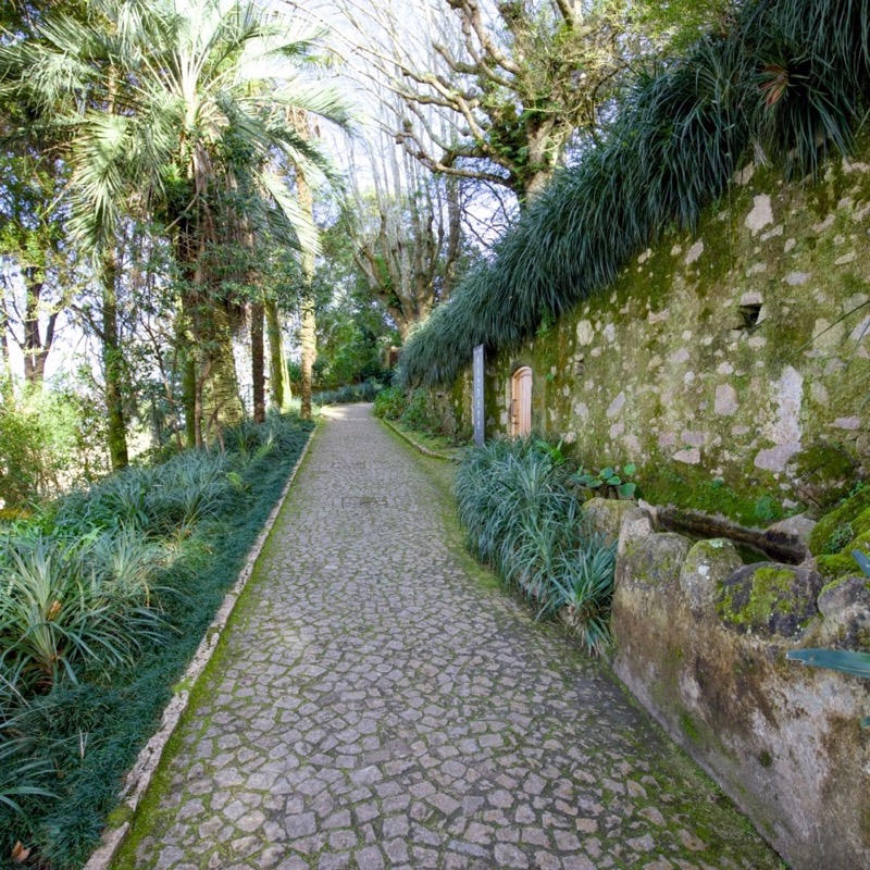 Vila Sassetti 2