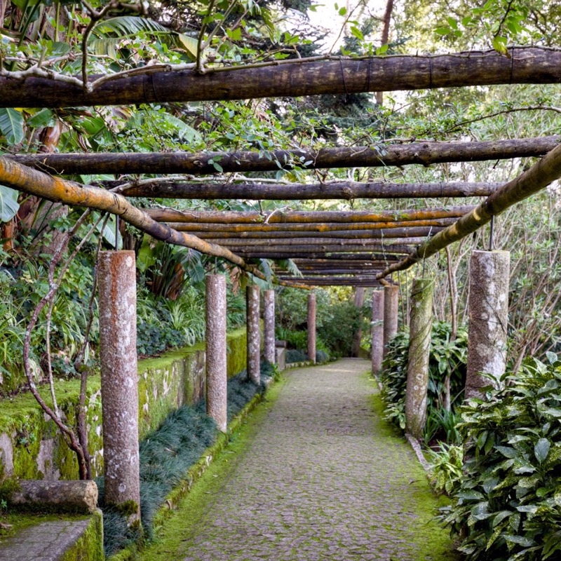 Vila Sassetti 4