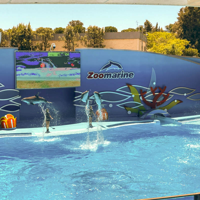 Zoomarine